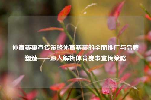 体育赛事宣传策略体育赛事的全面推广与品牌塑造——深入解析体育赛事宣传策略