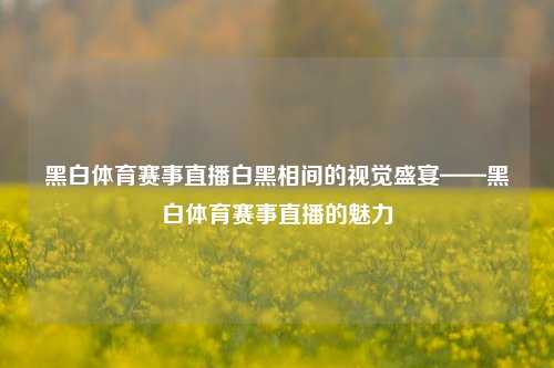 黑白体育赛事直播白黑相间的视觉盛宴——黑白体育赛事直播的魅力