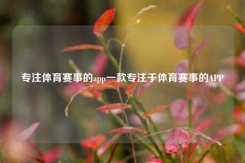专注体育赛事的app一款专注于体育赛事的APP