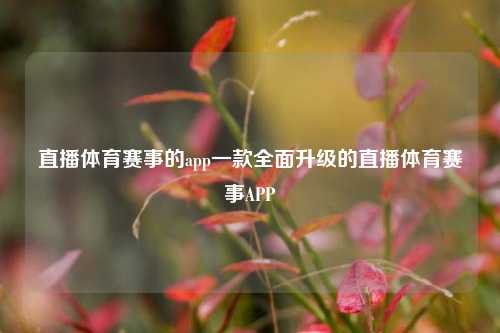 直播体育赛事的app一款全面升级的直播体育赛事APP