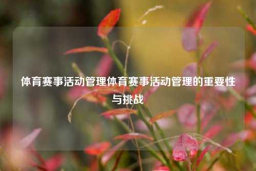 体育赛事活动管理体育赛事活动管理的重要性与挑战