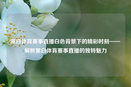 黑白体育赛事直播白色背景下的精彩时刻——解析黑白体育赛事直播的独特魅力