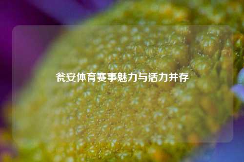 瓮安体育赛事魅力与活力并存