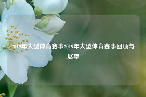 2019年大型体育赛事2019年大型体育赛事回顾与展望