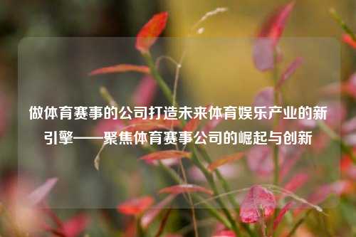做体育赛事的公司打造未来体育娱乐产业的新引擎——聚焦体育赛事公司的崛起与创新