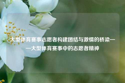 大型体育赛事志愿者构建团结与激情的桥梁——大型体育赛事中的志愿者精神