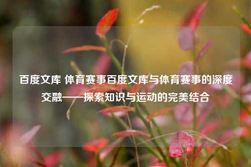 百度文库 体育赛事百度文库与体育赛事的深度交融——探索知识与运动的完美结合