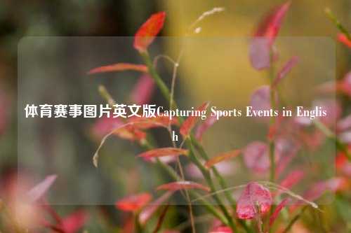体育赛事图片英文版Capturing Sports Events in English