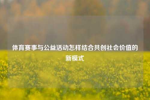 体育赛事与公益活动怎样结合共创社会价值的新模式