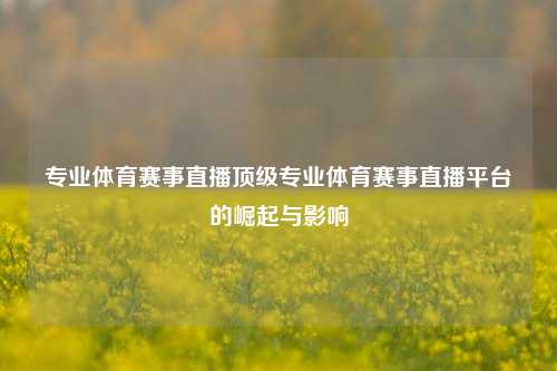 专业体育赛事直播顶级专业体育赛事直播平台的崛起与影响