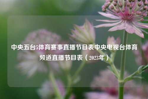 中央五台5体育赛事直播节目表中央电视台体育频道直播节目表（2023年）