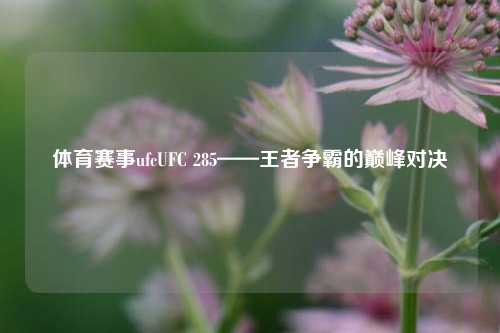体育赛事ufcUFC 285——王者争霸的巅峰对决