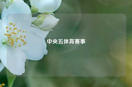 中央五体育赛事