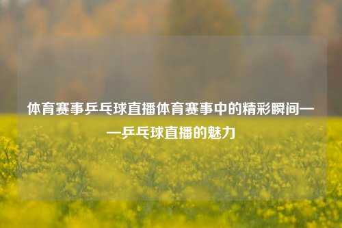 体育赛事乒乓球直播体育赛事中的精彩瞬间——乒乓球直播的魅力