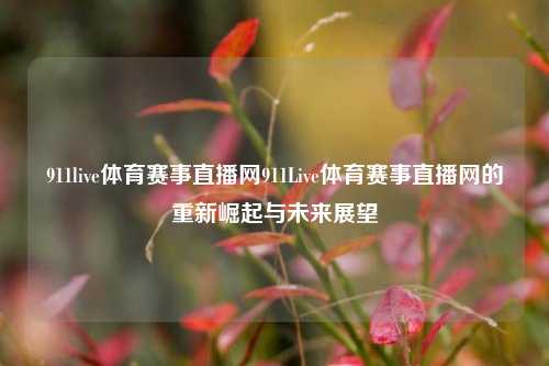 911live体育赛事直播网911Live体育赛事直播网的重新崛起与未来展望
