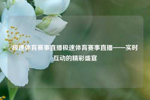 极速体育赛事直播极速体育赛事直播——实时互动的精彩盛宴
