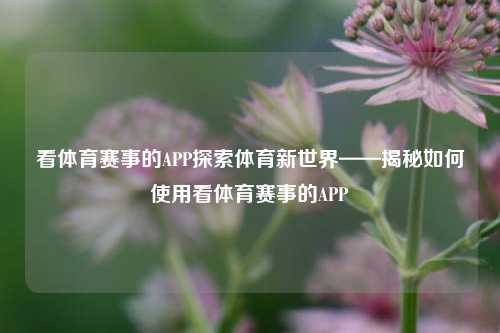看体育赛事的APP探索体育新世界——揭秘如何使用看体育赛事的APP