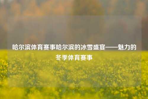 哈尔滨体育赛事哈尔滨的冰雪盛宴——魅力的冬季体育赛事