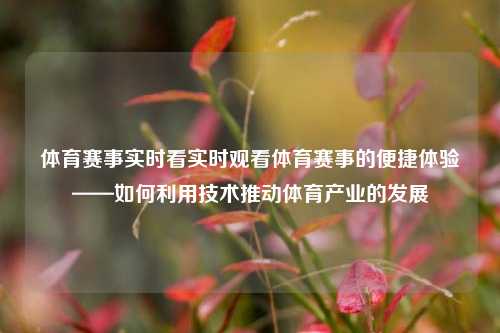 体育赛事实时看实时观看体育赛事的便捷体验——如何利用技术推动体育产业的发展