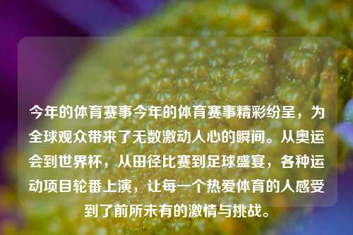今年的体育赛事今年的体育赛事精彩纷呈，为全球观众带来了无数激动人心的瞬间。从奥运会到世界杯，从田径比赛到足球盛宴，各种运动项目轮番上演，让每一个热爱体育的人感受到了前所未有的激情与挑战。
