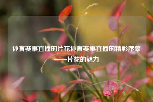体育赛事直播的片花体育赛事直播的精彩序幕——片花的魅力
